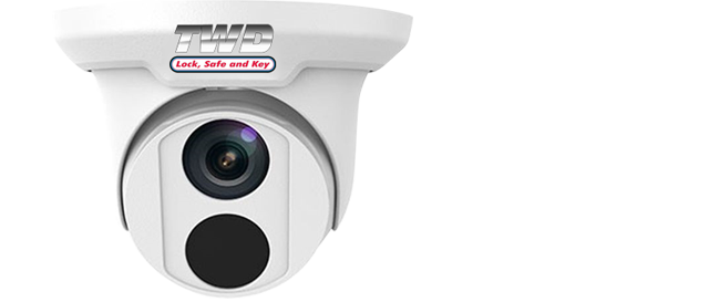 TWD Eyeball Network Camera with ONVIF Compatibility